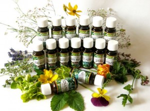 aroma terapie wellness spa bylinky