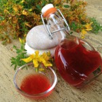Magické bylinky - maceráty z bylinek -růžový a  třezalkový olej- jak připravit macerát?