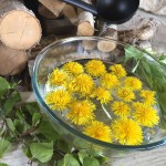 Jarní rituály v sauně  - aromaterapie do sauny pro očistu a znovuzrození - bylinky v sauně